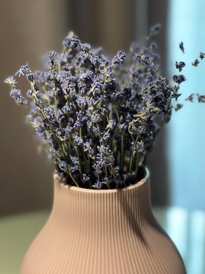 Jeny Boutique Apartment Târgu-Mureş エクステリア 写真